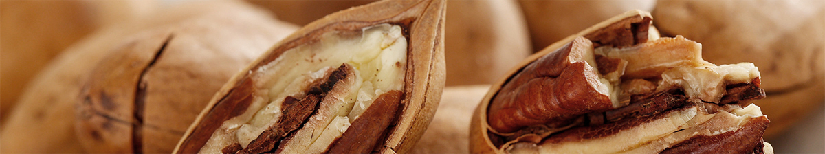 主題樂(lè)園定制