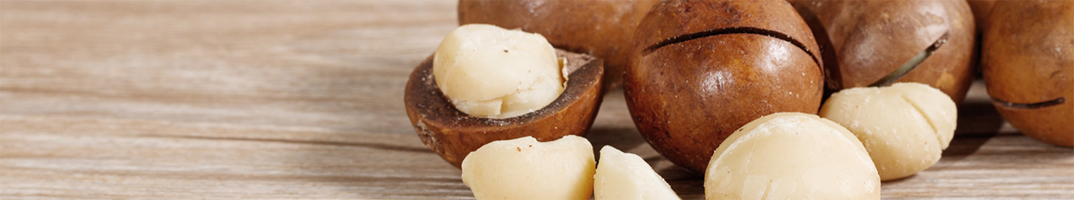 原木游樂(lè)場(chǎng)